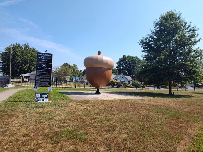The World's Largest Acorn Marker. Click for full size. The World's Largest Acorn Marker image. Click for full size.