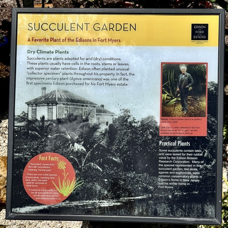 Succulent Garden Marker image. Click for full size.