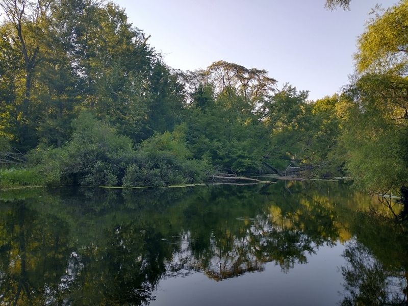 South Branch Elkhart River image. Click for full size.
