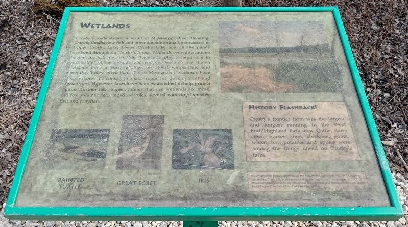 Wetlands Marker. Click for full size. Wetlands Marker image. Click for full size.