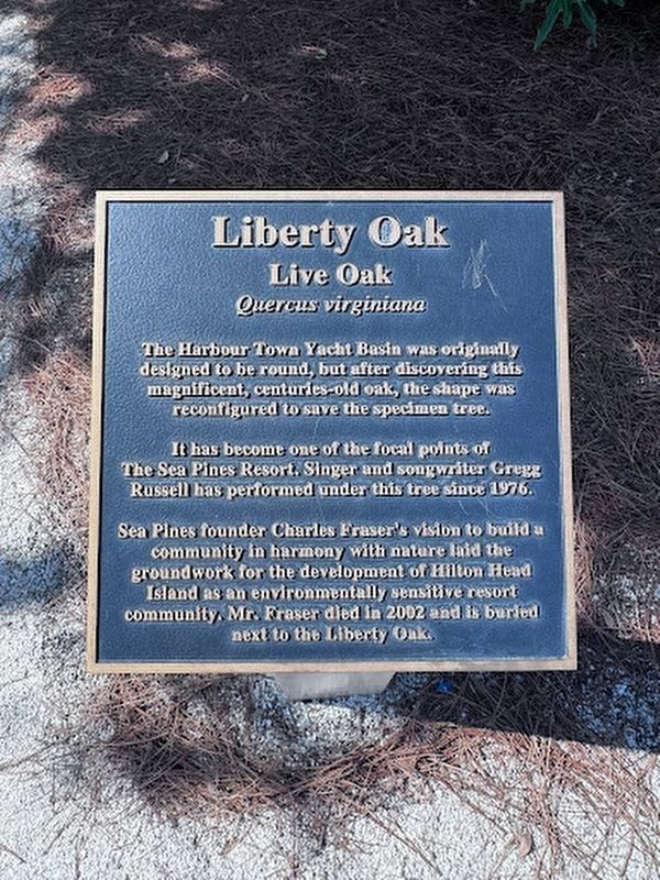 Liberty Oak Marker image. Click for full size.