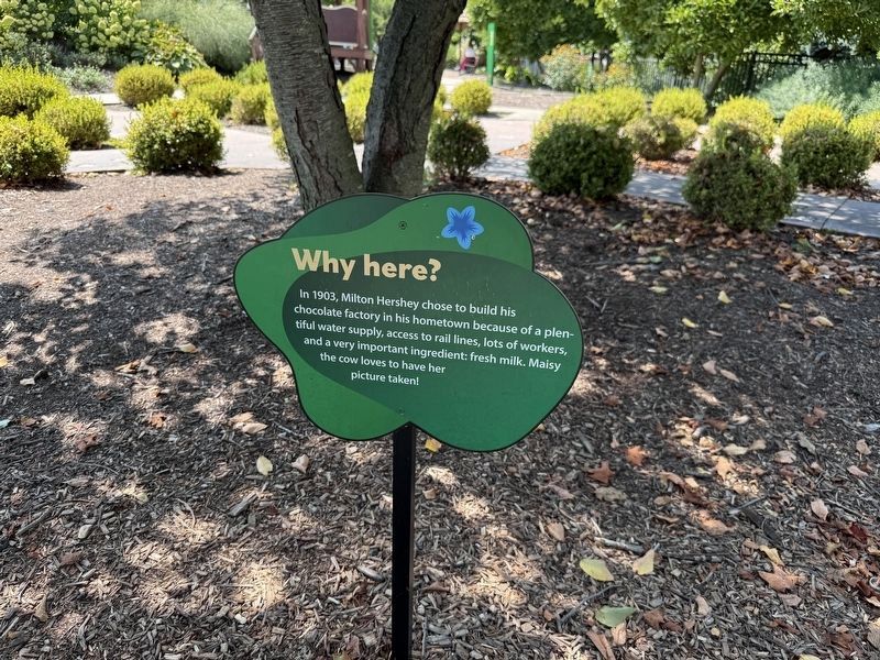 Why here? Marker. Click for full size. Why here? Marker image. Click for full size.