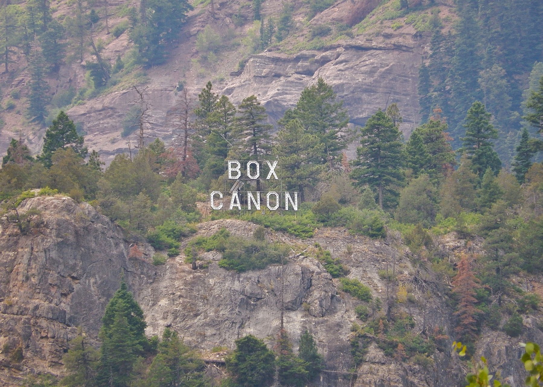 Box Canon Sign image. Click for full size.