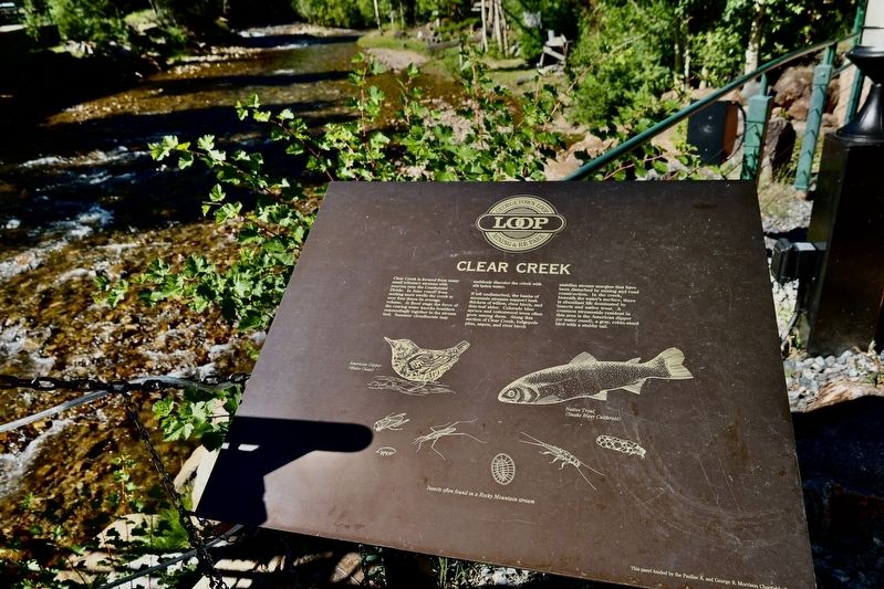 Clear Creek. Click for full size. Clear Creek image. Click for full size.