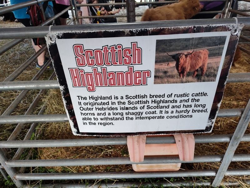 Scottish Highlander Marker. Click for full size. Scottish Highlander Marker image. Click for full size.