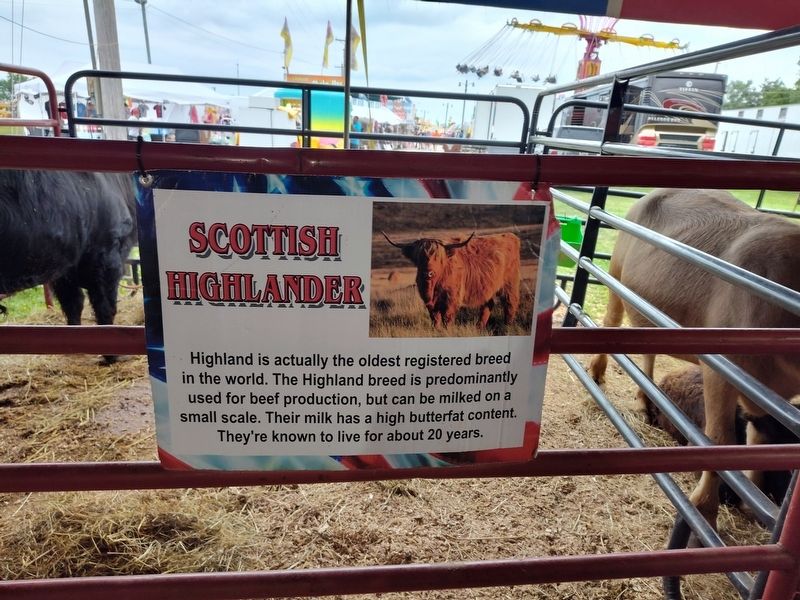 Scottish Highlander Marker image. Click for full size.