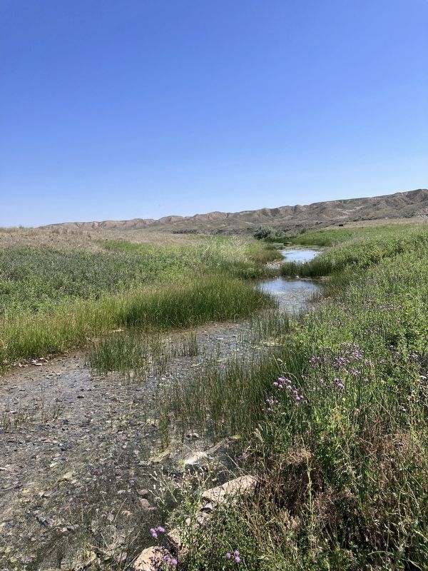 Sacagawea Sulphur Spring image. Click for full size.