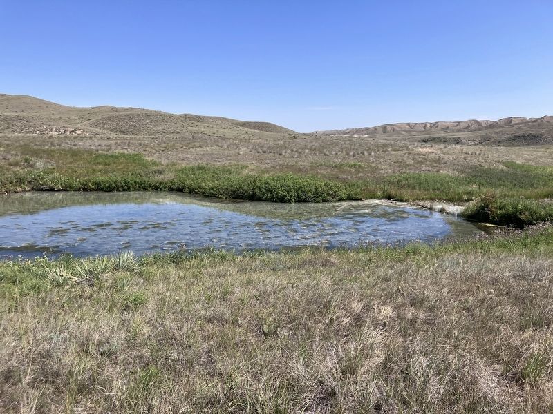 Sacagawea Sulphur Spring image. Click for full size.