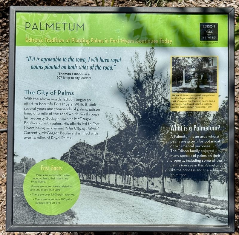Palmetum Marker image. Click for full size.