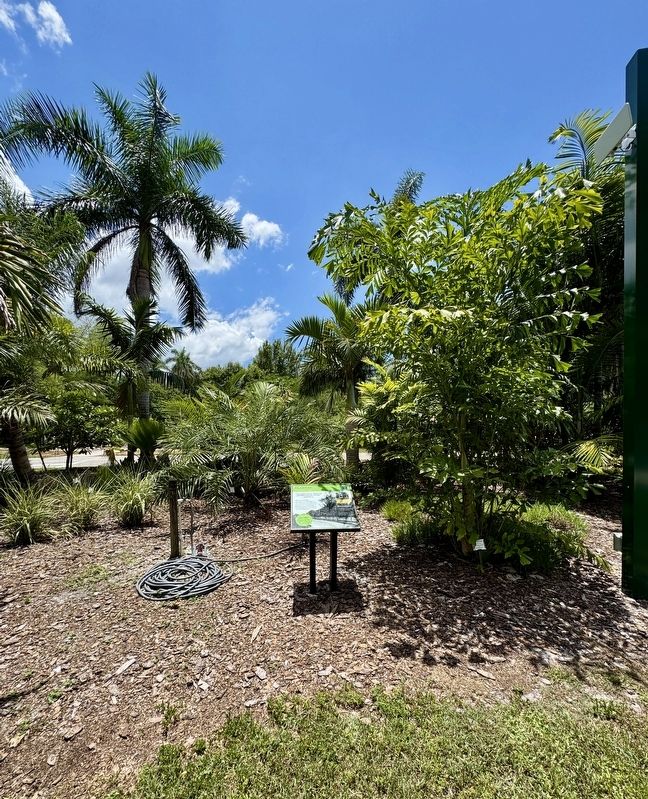 Palmetum Marker image. Click for full size.