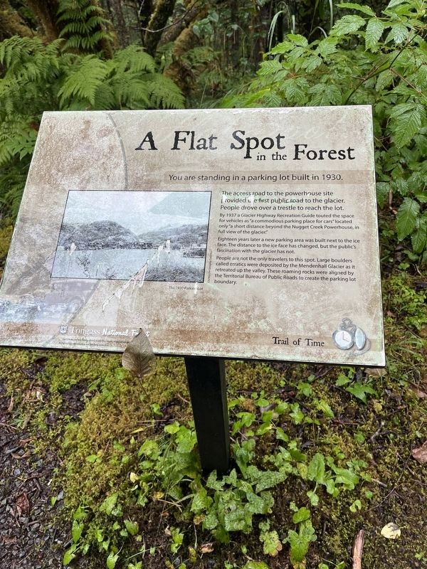 A Flat Spot in the Forest Marker image. Click for full size.