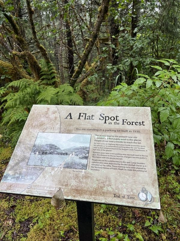 A Flat Spot in the Forest Marker image. Click for full size.
