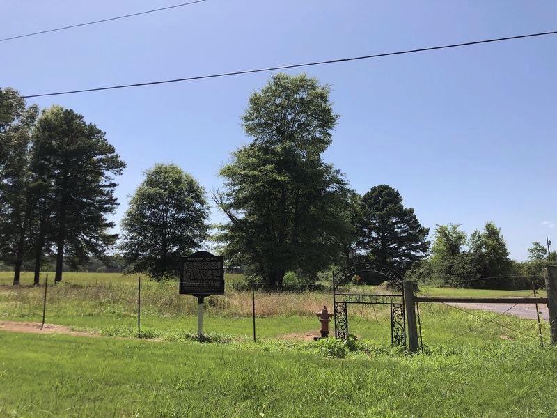 Bold Pilgrim Cemetery Marker. Click for full size. Bold Pilgrim Cemetery Marker image. Click for full size.