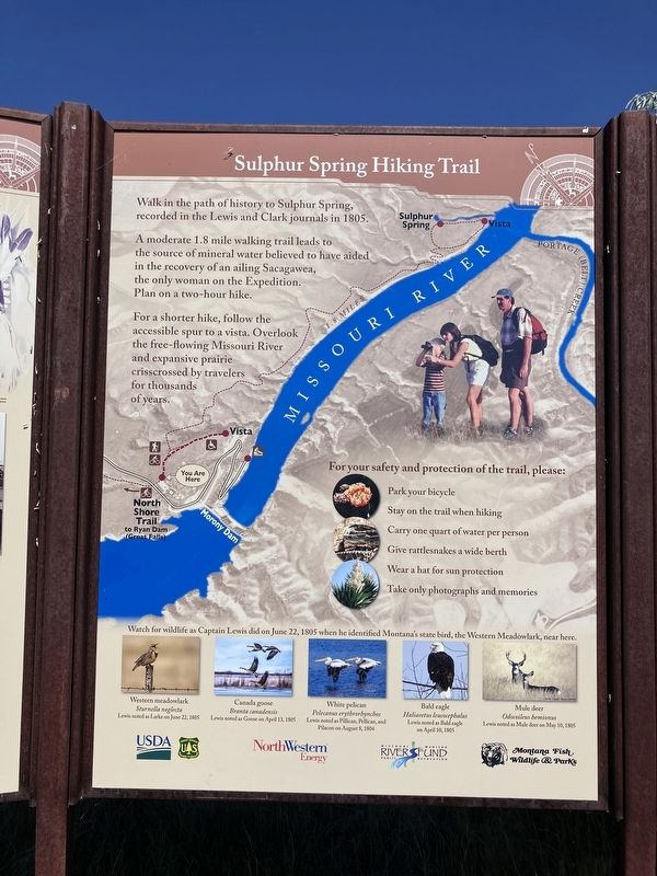Sulphur Springs Hiking Trail marker (center panel) image. Click for full size.