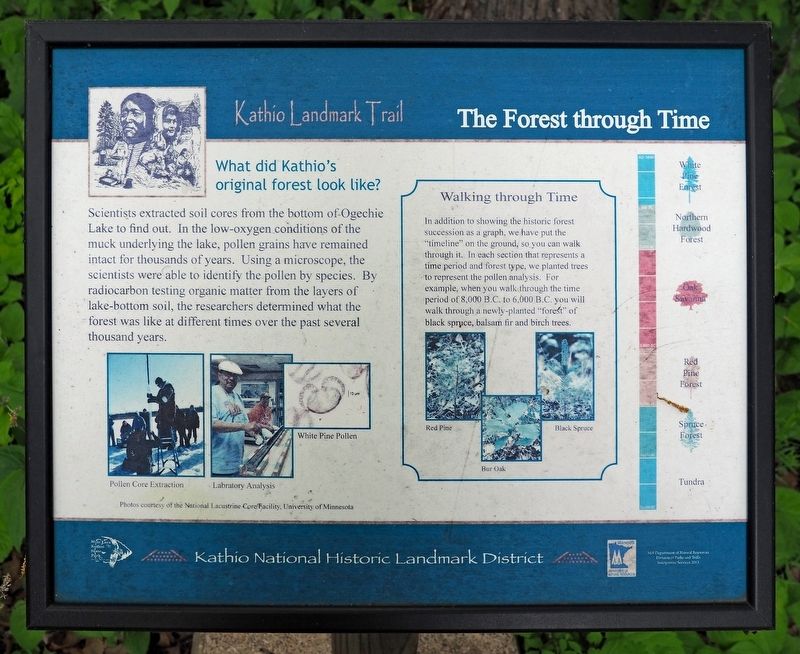The Forest through Time Marker. Click for full size. The Forest through Time Marker image. Click for full size.