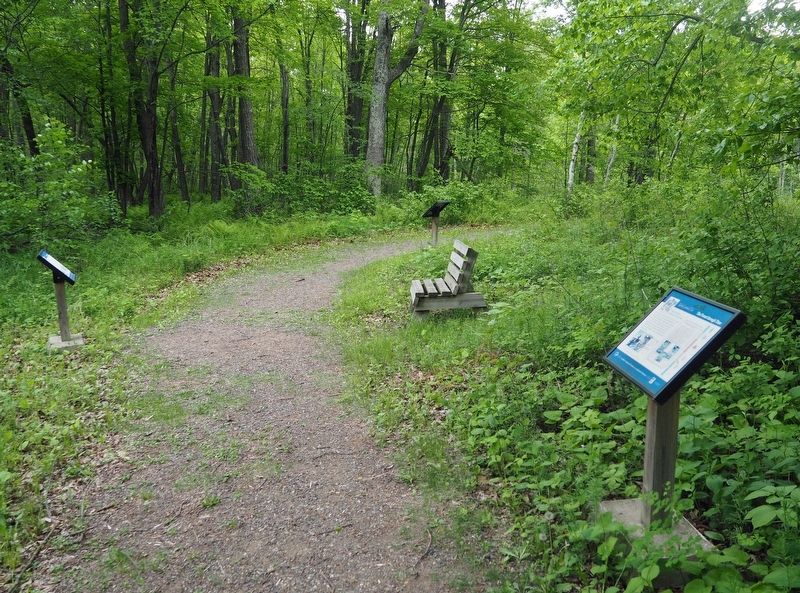 The Forest through Time Marker (right) on the Kathio Landmark Trail. Click for full size. The Forest through Time Marker (right) on the Kathio Landmark Trail image. Click for full size.