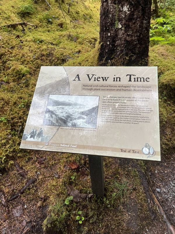 A View in Time Marker. Click for full size. A View in Time Marker image. Click for full size.