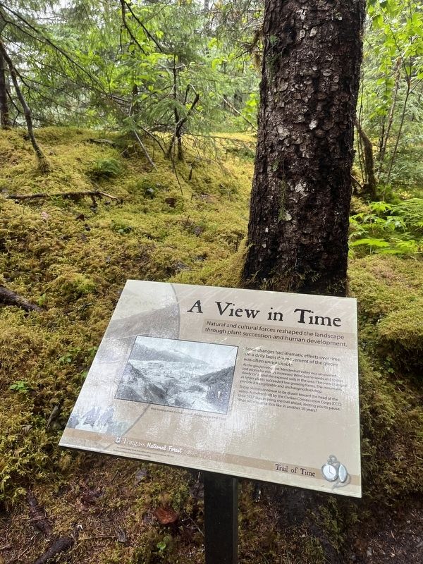 A View in Time Marker. Click for full size. A View in Time Marker image. Click for full size.