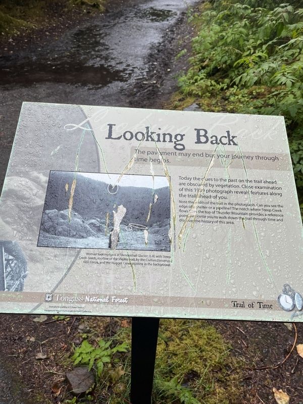 Looking Back Marker image. Click for full size.
