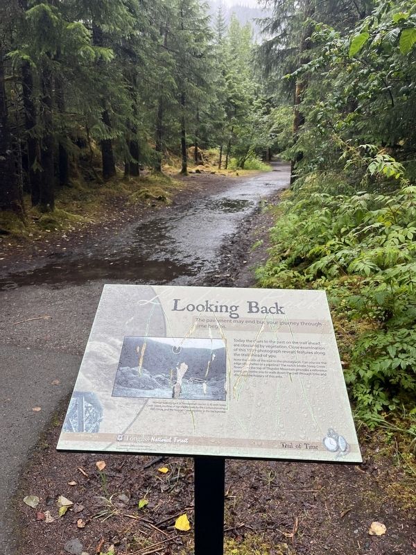 Looking Back Marker image. Click for full size.
