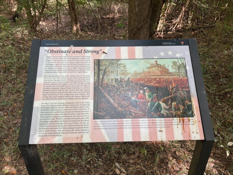 "Obstinate and Strong" Marker. Click for full size. "Obstinate and Strong" Marker image. Click for full size.