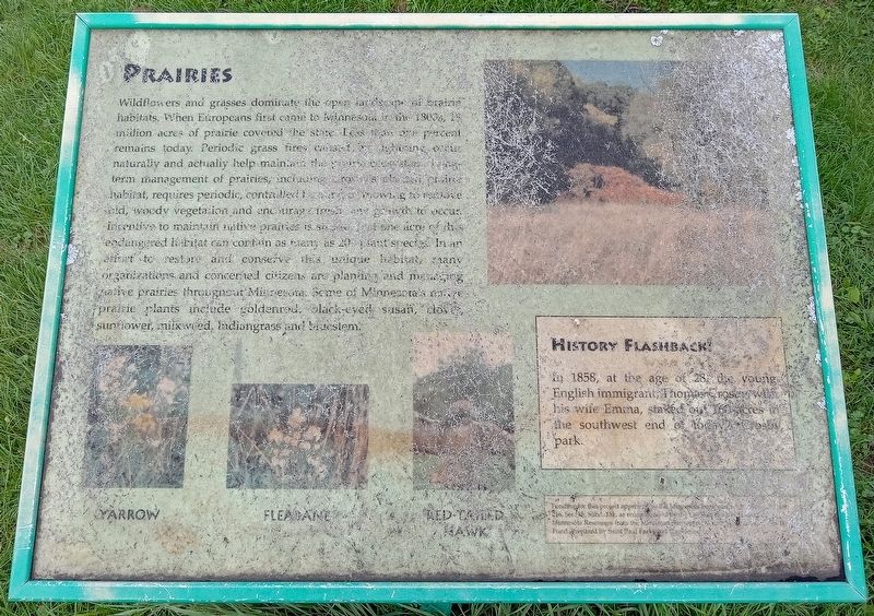 Prairies Marker. Click for full size. Prairies Marker image. Click for full size.