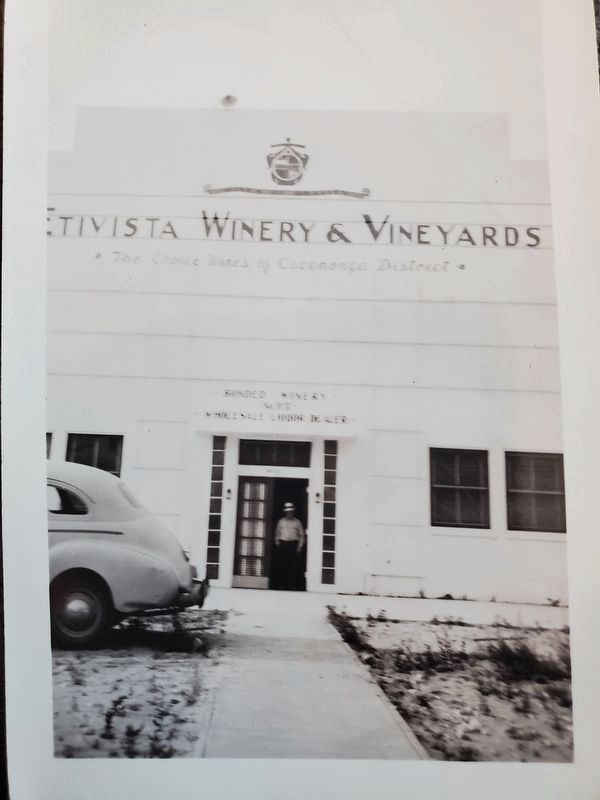 A Tribute to the Rich History of Wine Making in Rancho Cucamonga Marker. Click for full size. A Tribute to the Rich History of Wine Making in Rancho Cucamonga Marker image. Click for full size.