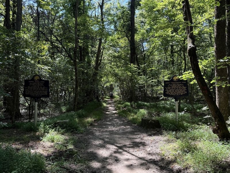 Fearn and O'Shaughnessy Markers on Fire Tower Trail image. Click for full size.