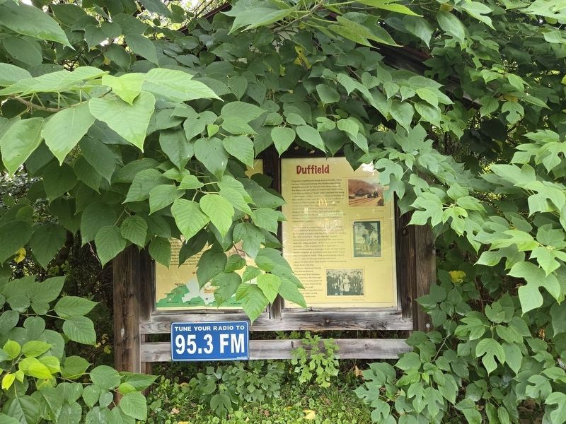 Full view The Crooked Road / Duffield Marker blocked by brush overgrowth image. Click for full size.
