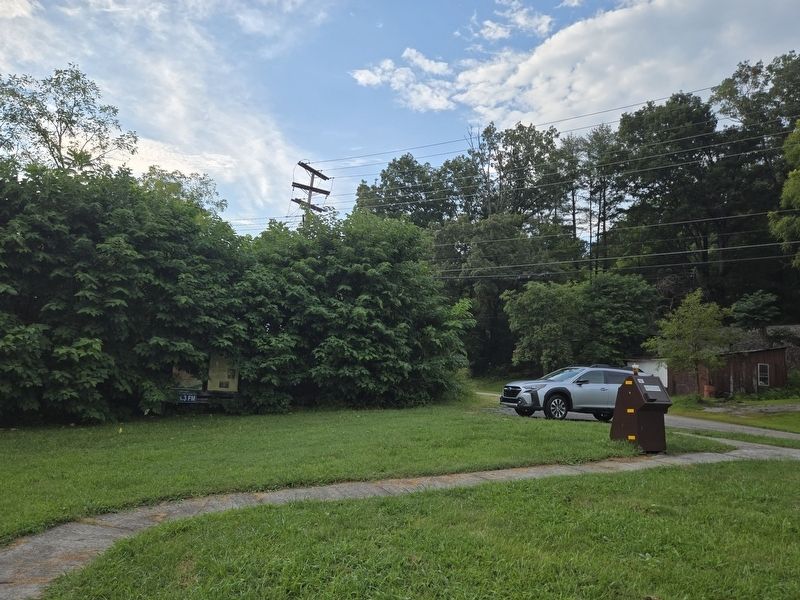 The Crooked Road / Duffield Marker in the brush image. Click for full size.