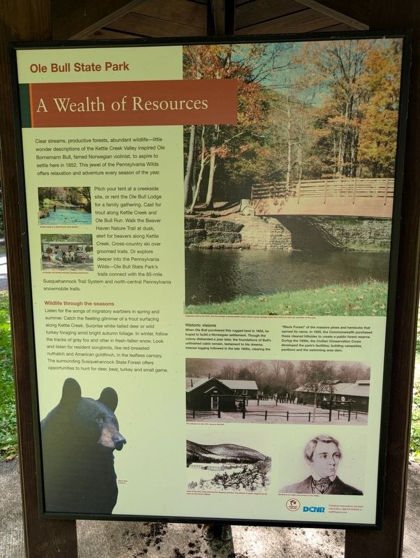 Ole Bull State Park Marker image. Click for full size.