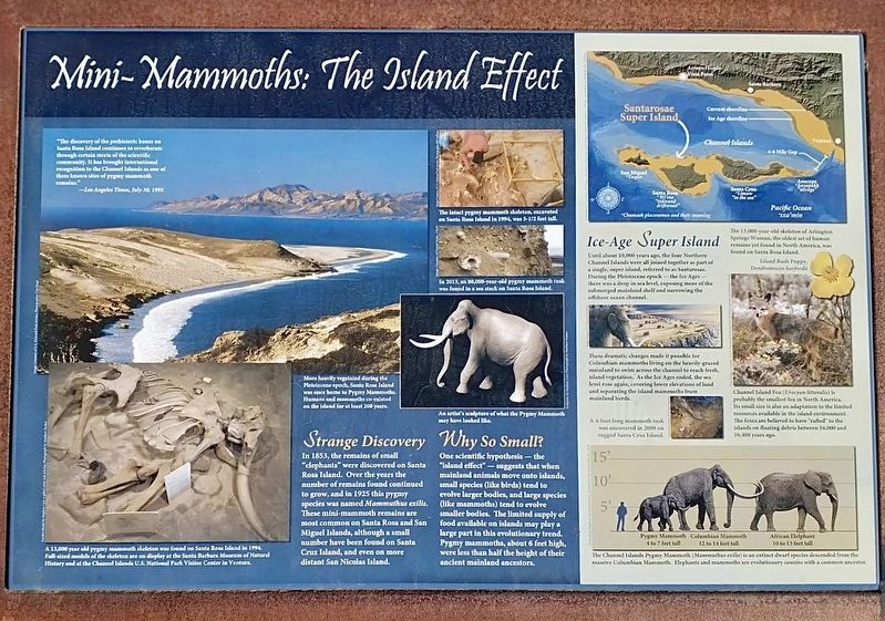 Mini-Mammoths Marker image. Click for full size.