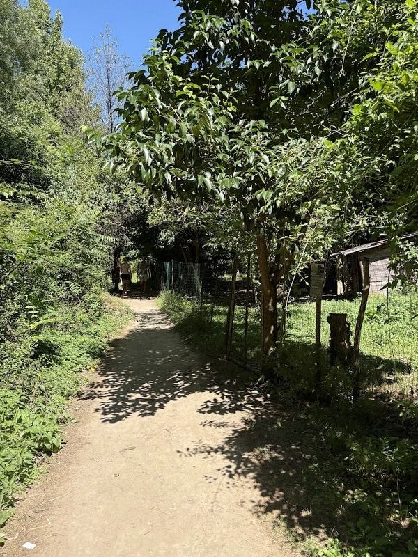 The Sentierelsa Trail image. Click for full size.