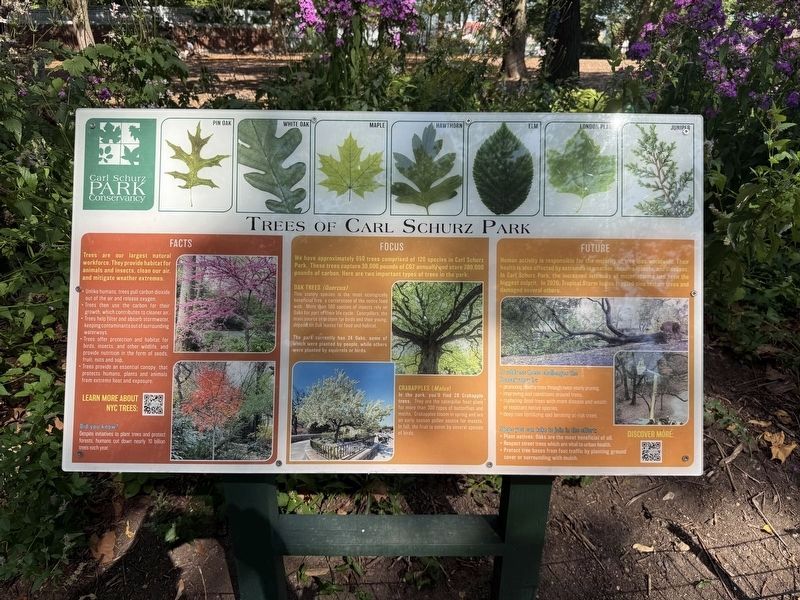 Trees of Carl Schurz Park Marker. Click for full size. Trees of Carl Schurz Park Marker image. Click for full size.