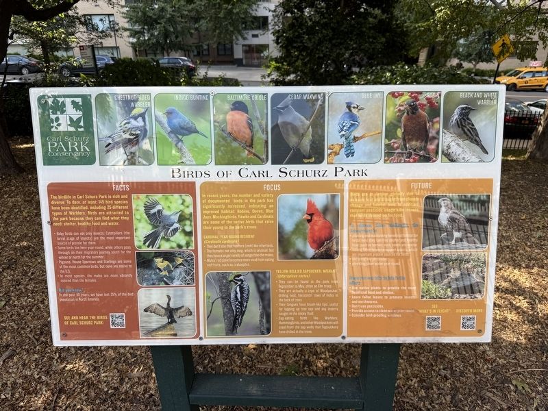 Birds of Carl Schurz Park Marker. Click for full size. Birds of Carl Schurz Park Marker image. Click for full size.