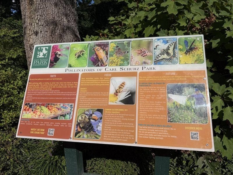Nearby signage: Pollinators of Carl Schurz Park image. Click for full size.