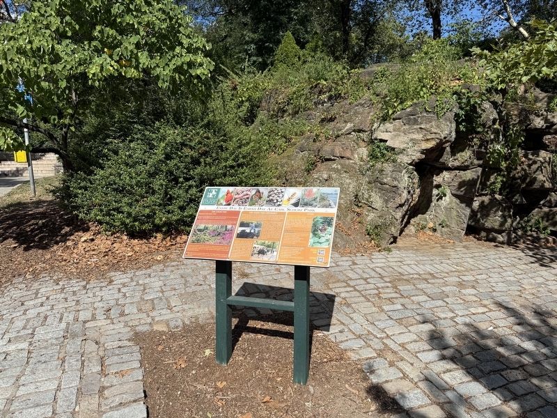 Every Day Is Earth Day At Carl Schurz Park Marker image. Click for full size.