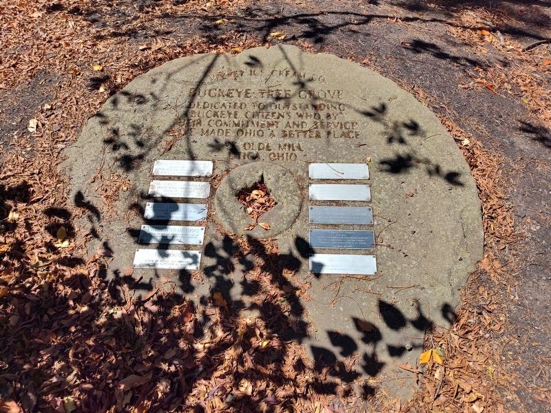 Buckeye Tree Grove Marker. Click for full size. Buckeye Tree Grove Marker image. Click for full size.