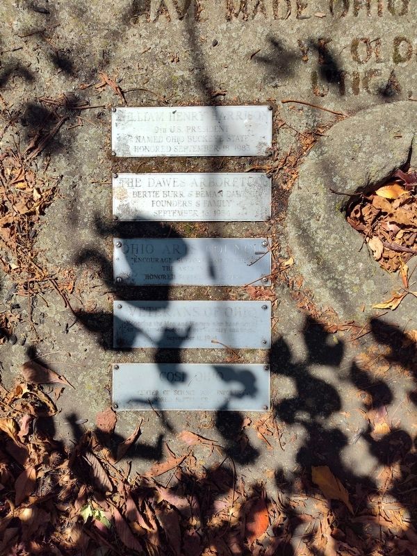 Buckeye Tree Grove Marker. Click for full size. Buckeye Tree Grove Marker image. Click for full size.
