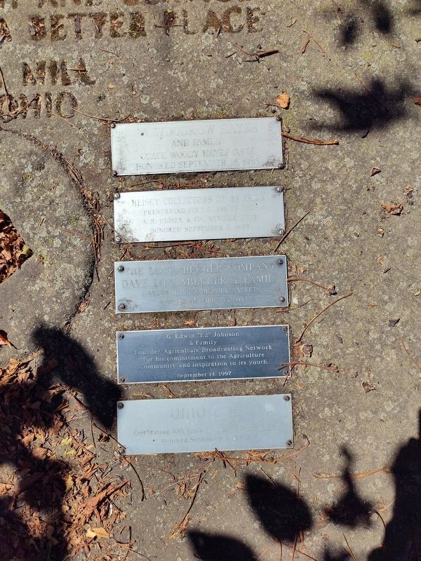 Buckeye Tree Grove Marker. Click for full size. Buckeye Tree Grove Marker image. Click for full size.
