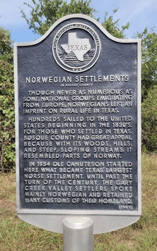 Norwegian Settlements in Bosque County Marker image. Click for full size.