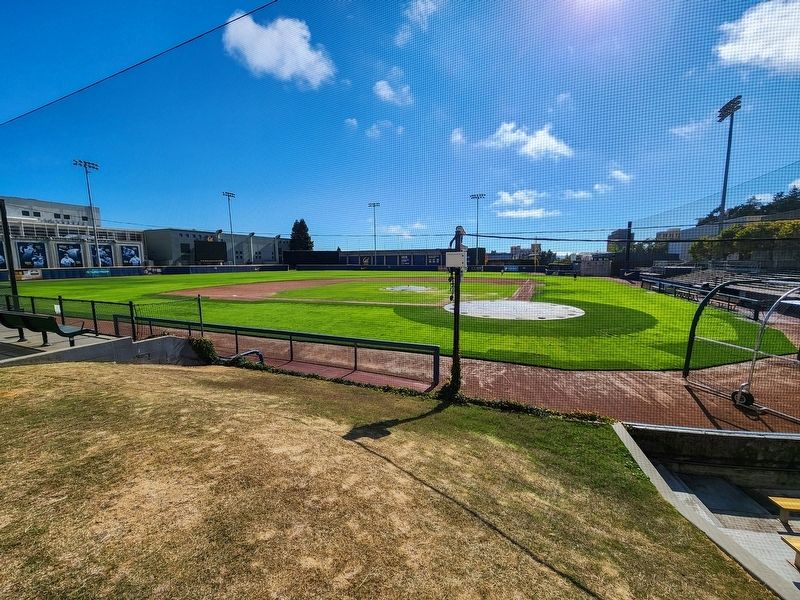 Clint Evans Baseball Field. Click for full size. Clint Evans Baseball Field image. Click for full size.