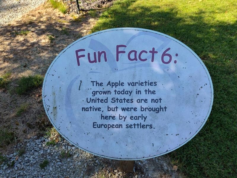 Fun Fact 6 Marker image. Click for full size.