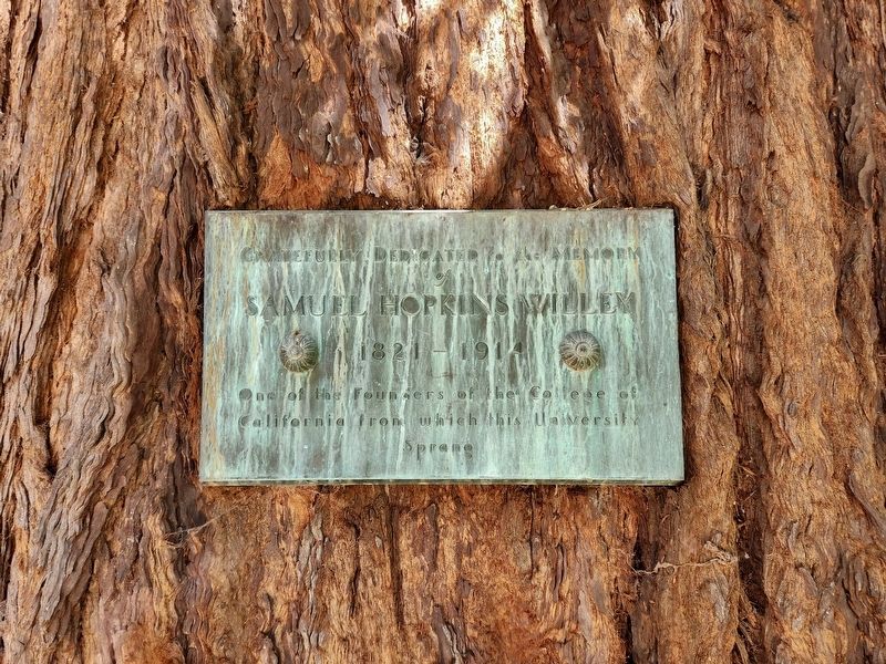 Samuel Hopkins Willey Marker image. Click for full size.