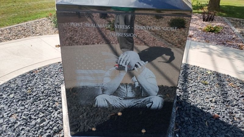 Veterans Physical and Mental Illness Memorial image. Click for full size.