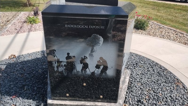 Veterans Physical and Mental Illness Memorial image. Click for full size.