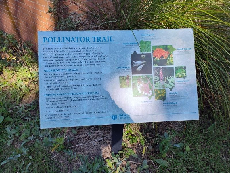 Pollinator Trail Marker image. Click for full size.