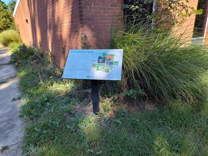 Pollinator Trail Marker image. Click for full size.