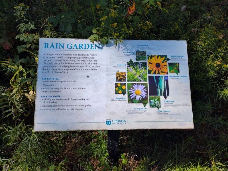 Rain Garden Marker. Click for full size. Rain Garden Marker image. Click for full size.