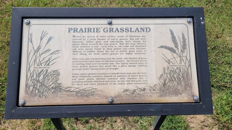 Prairie Grassland Marker. Click for full size. Prairie Grassland Marker image. Click for full size.